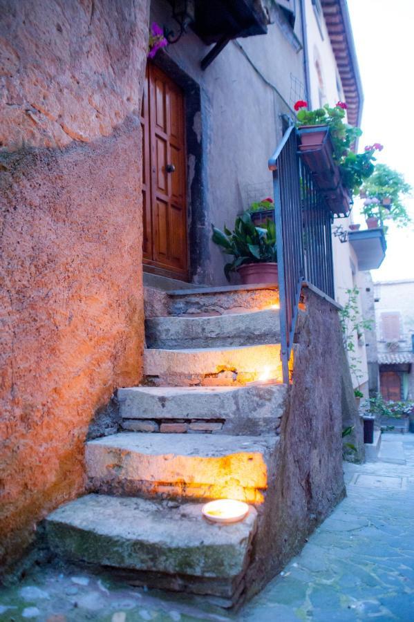 Casa Flora Vila Civitella dʼAgliano Exterior foto